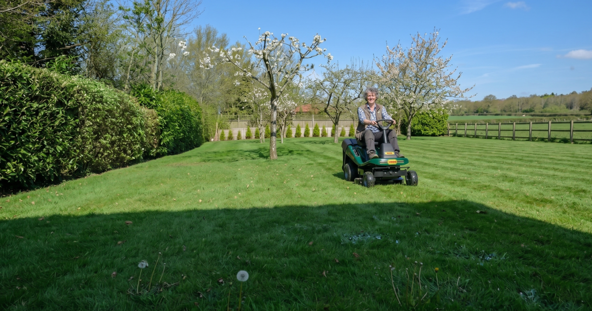 Webb 76cm (30'') Ride on Lawnmower Review Webb 76cm (30'') Ride on Lawnmower Review - featured image