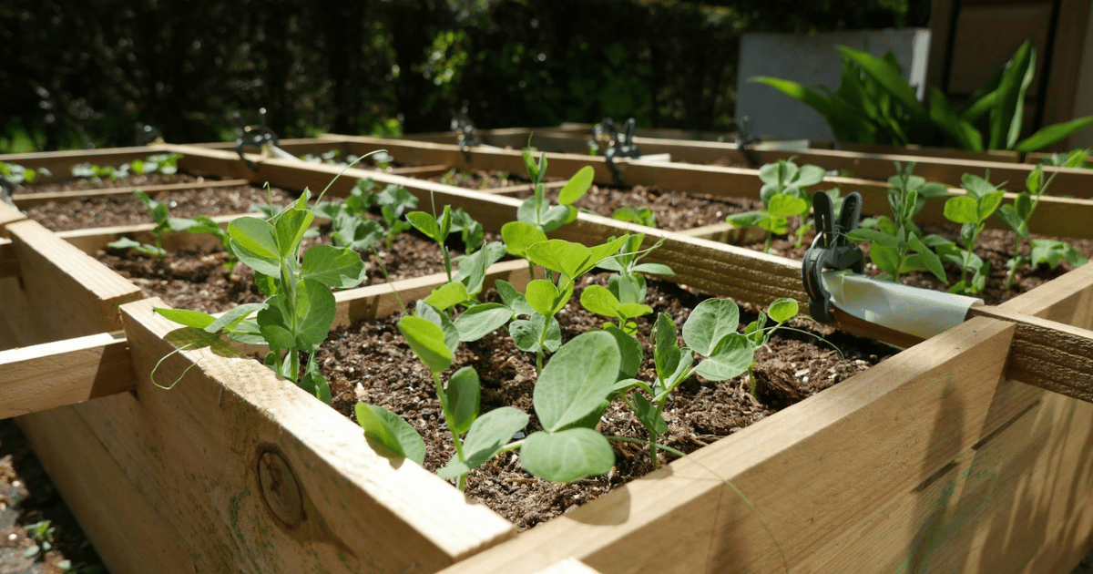 10 Easy DIY Garden Projects for UK Gardens 10 Easy DIY Garden Projects for UK Gardens - featured image