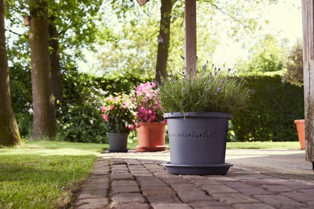 Best Plant Pots & Planters UK 2026: From Windowsill Herbs to Raised Beds Best Plant Pots & Planters UK 2026: From Windowsill Herbs to Raised Beds - featured image