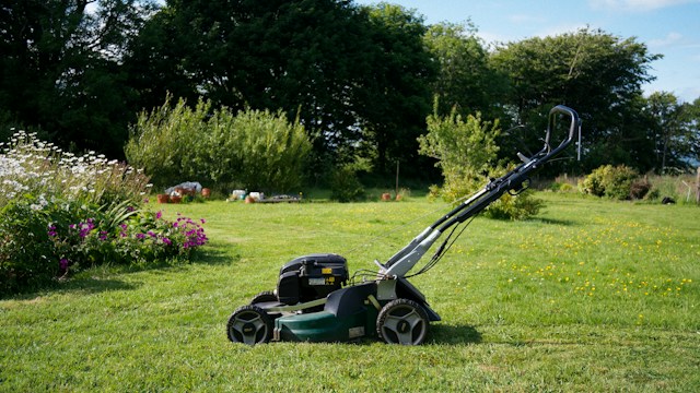 September Lawn Care UK: 8 Jobs to Do for a Healthier Lawn September Lawn Care UK: 8 Jobs to Do for a Healthier Lawn - featured image