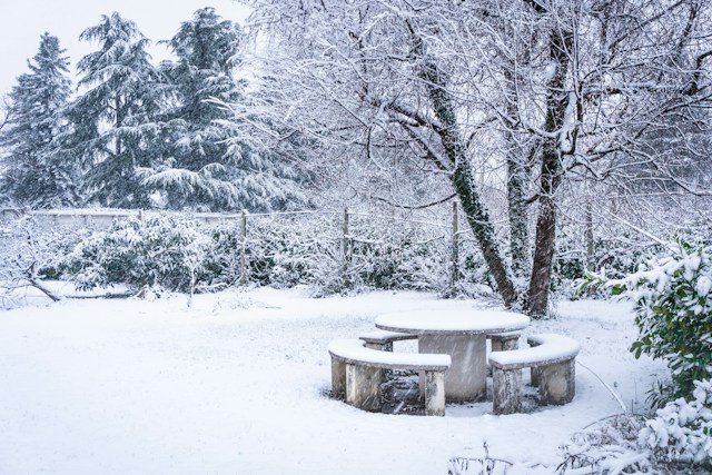 Winter Garden Tidying Winter Garden Tidying - featured image