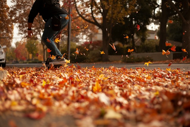 Mastering Autumn Leaf Clearance for a Healthy UK Lawn Mastering Autumn Leaf Clearance for a Healthy UK Lawn - featured image