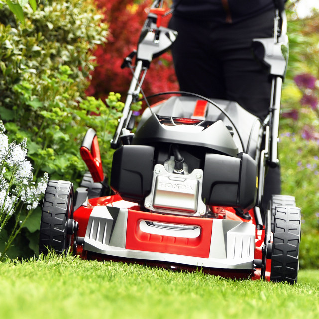 Cobra MX534SPH petrol lawnmower in a garden